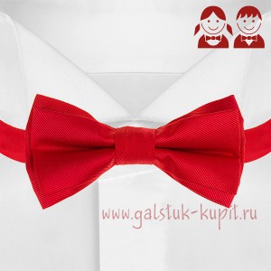 Детский красный галстук-бабочка G-Faricetti BKR-5-1374, купить в интернет-магазине с доставкой по России