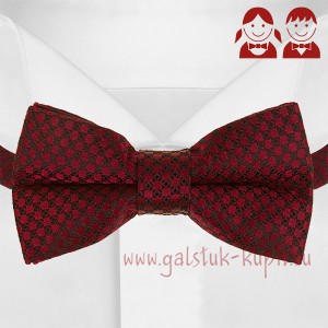 Бордовый детский галстук-бабочка G-Faricetti BBO-5-1376, купить в интернет-магазине с доставкой по России