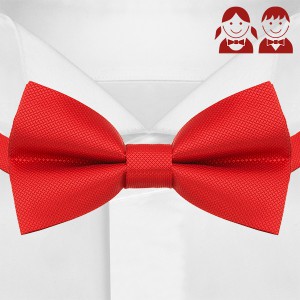 Детский красный галстук-бабочка G-Faricetti BKR-5-1490, купить в интернет-магазине с доставкой по России