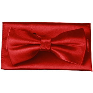 Алый галстук бабочка с платком G-Faricetti BBO-3-013, купить в интернет-магазине с доставкой по России