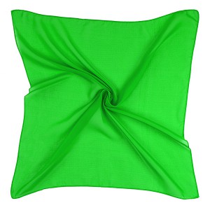 Зеленый женский платок из шифона Rossini 54S-B16, купить в интернет-магазине с доставкой по России