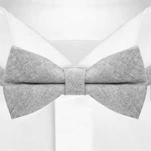 Мужской галстук-бабочка повседневный G-Faricetti BSE-55-1573, купить в интернет-магазине с доставкой по России