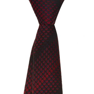 Мужской галстук бордово-черный с платком Ruben Cardin N22BO-6-1558, купить в интернет-магазине с доставкой по России