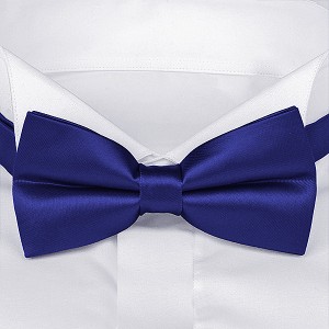 Мужской ярко-синий галстук-бабочка G-Faricetti BSI-1-1312, купить в интернет-магазине с доставкой по России