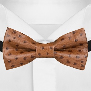 Необычный галстук-бабочка из экокожи G-Faricetti BCH-73-1437, купить в интернет-магазине с доставкой по России