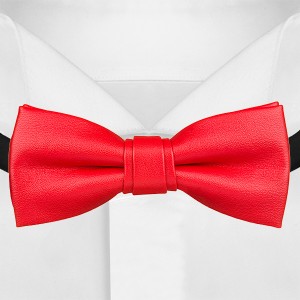 Необычный галстук-бабочка из экокожи G-Faricetti BCH-73-1436, купить в интернет-магазине с доставкой по России