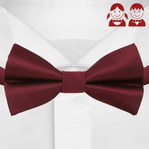 Бордовый галстук-бабочка для детей G-Faricetti-BBO-5-1489, купить в интернет-магазине с доставкой по России
