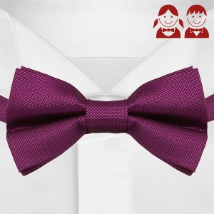 Фиолетовый галстук-бабочка для детей G-Faricetti-BBO-5-1495, купить в интернет-магазине с доставкой по России