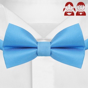 Светло-синий галстук-бабочка для детей G-Faricetti BBO-5-1492, купить в интернет-магазине с доставкой по России