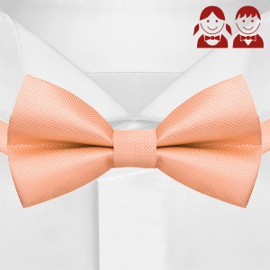 Персиковый галстук-бабочка для детей G-Faricetti-BBO-5-1491, купить в интернет-магазине с доставкой по России