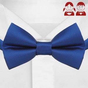 Синий галстук-бабочка для детей G-Faricetti-BBO-5-1493, купить в интернет-магазине с доставкой по России
