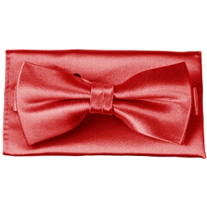 Красный галстук бабочка G-Faricetti BKR-3-015, купить в интернет-магазине с доставкой по России