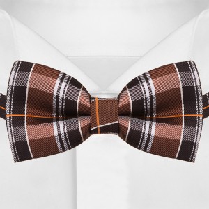 Мужской галстук-бабочка в клетку G-Faricetti BKO-55-1534, купить в интернет-магазине с доставкой по России