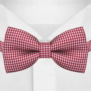 Мужской галстук-бабочка в красно-белую клетку G-Faricetti BKR-55-1533, купить в интернет-магазине с доставкой по России