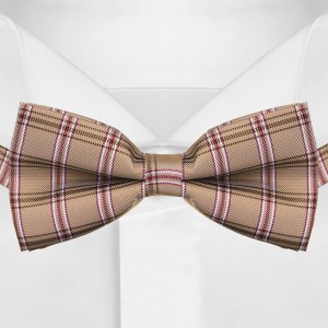 Бежевый галстук-бабочка в клетку G-Faricetti BSK-55-1535, купить в интернет-магазине с доставкой по России