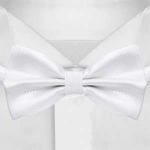 Мужской белый галстук-бабочка G-Faricetti BBE-55-1570, купить в интернет-магазине с доставкой по России