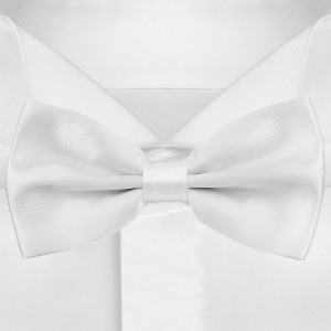 Мужской белый галстук-бабочка G-Faricetti BBE-2-1568, купить в интернет-магазине с доставкой по России