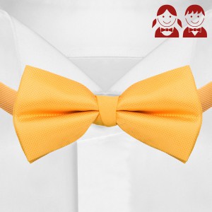 Детский галстук-бабочка Faricetti BZHO-5-1635 желтого цвета, купить в интернет-магазине с доставкой по России