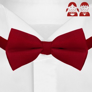 Детский галстук-бабочка G-Faricetti BKR-5-1634 темно-красного цвета, купить в интернет-магазине с доставкой по России