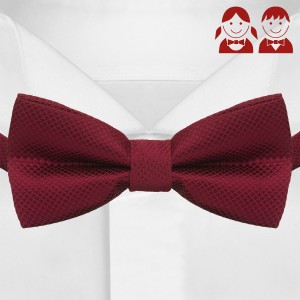 Бордовый галстук-бабочка для ребенка G-Faricetti BBO-5-1636, купить в интернет-магазине с доставкой по России