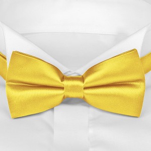 Желтый галстук бабочка G-Faricetti BZ-1-790, купить в интернет-магазине с доставкой по России