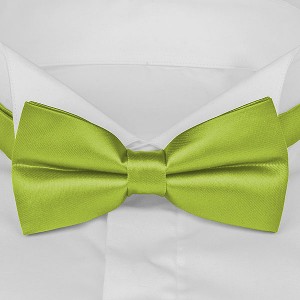 Мужской салатовый галстук-бабочка G-Faricetti BSZ-1-1103, купить в интернет-магазине с доставкой по России