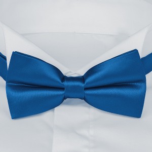 Васильковый галстук-бабочка для мужчин  G-Faricetti BLB-1-1105, купить в интернет-магазине с доставкой по России