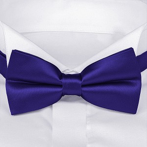 Синий галстук-бабочка для мужчин G-Faricetti BFI-1-1314, купить в интернет-магазине с доставкой по России