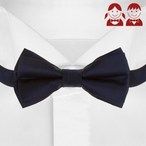 Синий детский галстук-бабочка G-Faricetti BSI-5-1375, купить в интернет-магазине с доставкой по России