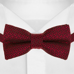 Бордовый детский галстук-бабочка G-Faricetti BBO-5-1377, купить в интернет-магазине с доставкой по России
