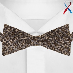 Коричневый галстук бабочка G-Faricetti BSK-65-1401 с рисунком, купить в интернет-магазине с доставкой по России