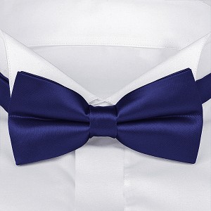 Мужской синий галстук-бабочка G-Faricetti BSI-1-1435, купить в интернет-магазине с доставкой по России
