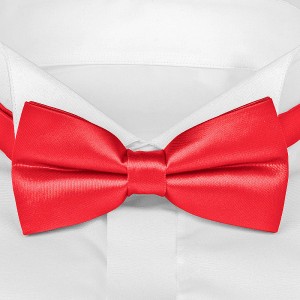 Детский красный галстук-бабочка G-Faricetti BKR-5-1544, купить в интернет-магазине с доставкой по России
