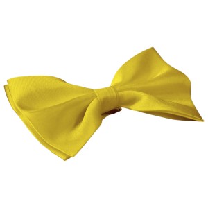 Желтая галстук-бабочка G-Faricetti BGI-2-1148, купить в интернет-магазине с доставкой по России